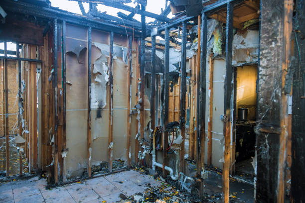 Professional Fire Damage Removal technician working in Enumclaw, WA